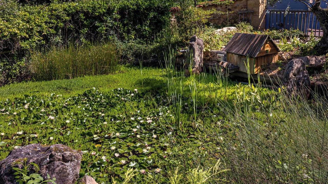 Photo of Outdoor in Saint-Geyrac