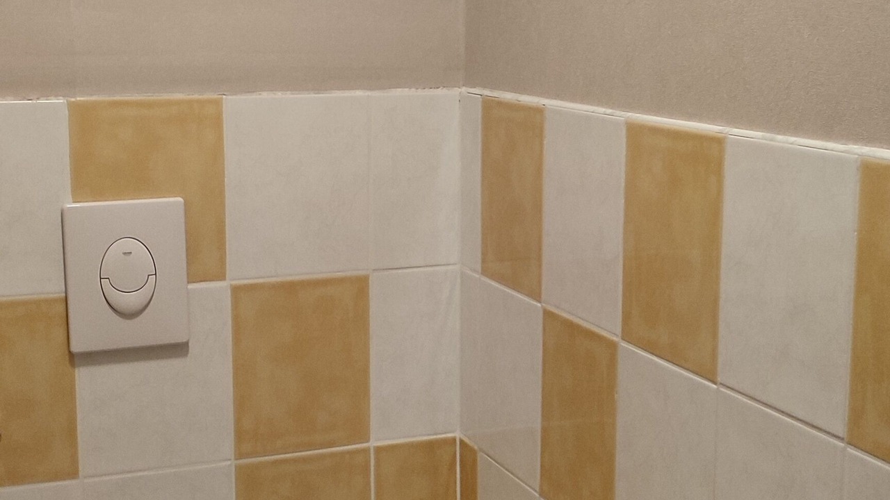 Photo of Bathroom in Thillot