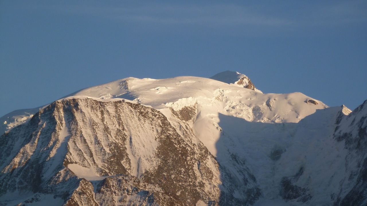 Photo of Others in Domancy