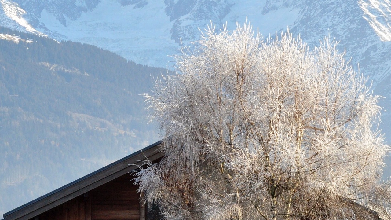 Photo of Outdoor in Domancy