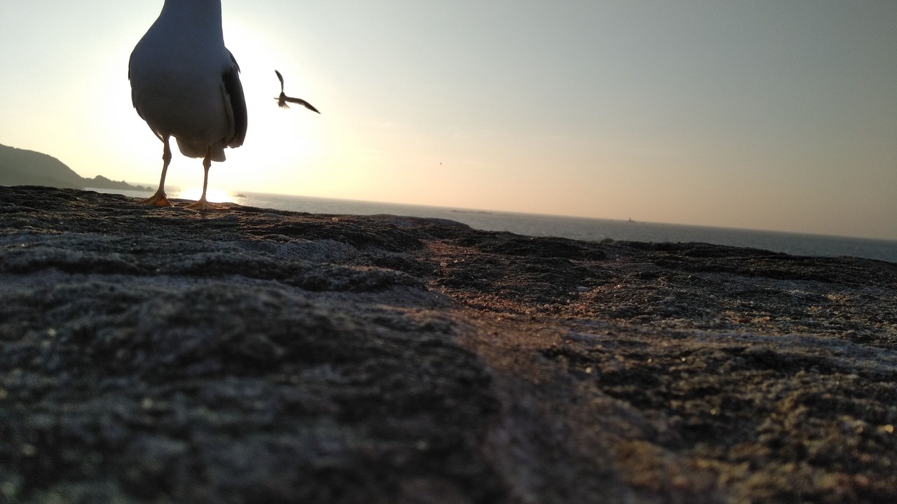 Photo of Others in Saint-Jacut-de-la-Mer