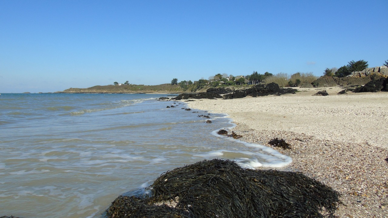 Photo of Others in Saint-Jacut-de-la-Mer