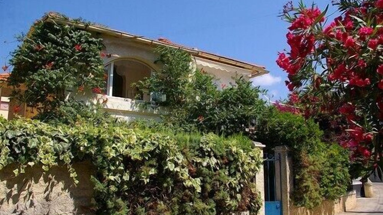 Photo of Others in Bandol