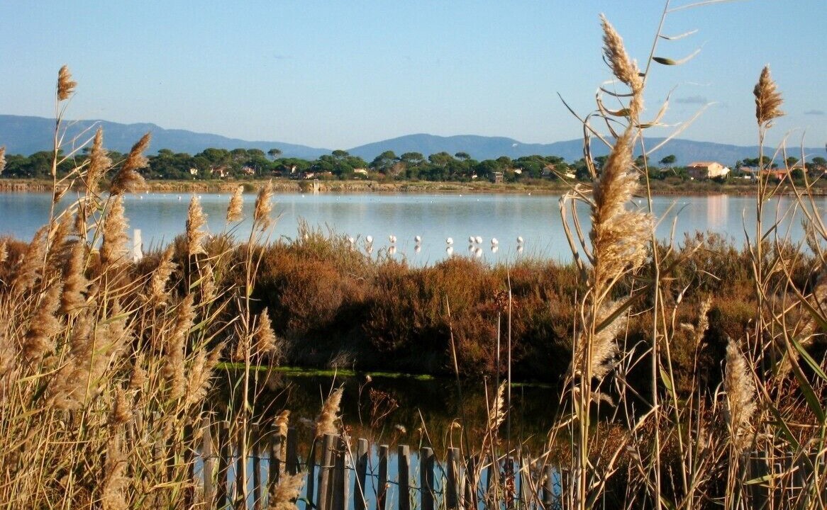 Photo of Others in Bandol