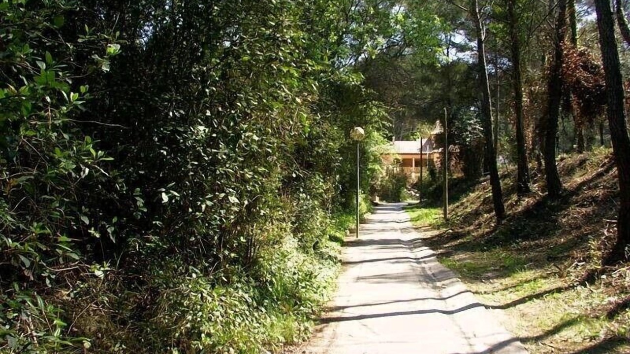 Photo of Outdoor in Bandol