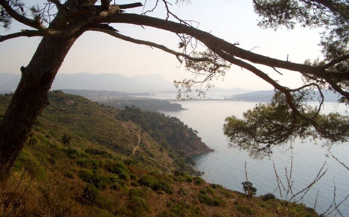 Photo of Others in Bandol