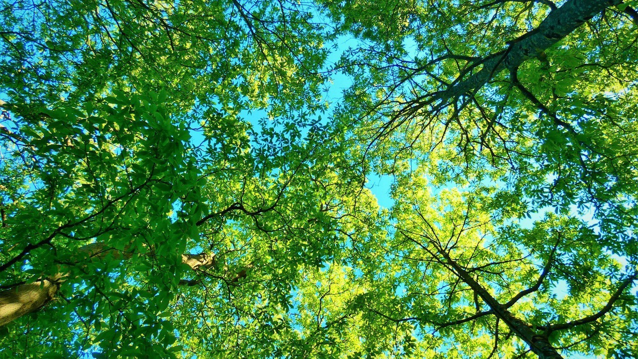 Photo of Outdoor in Runan
