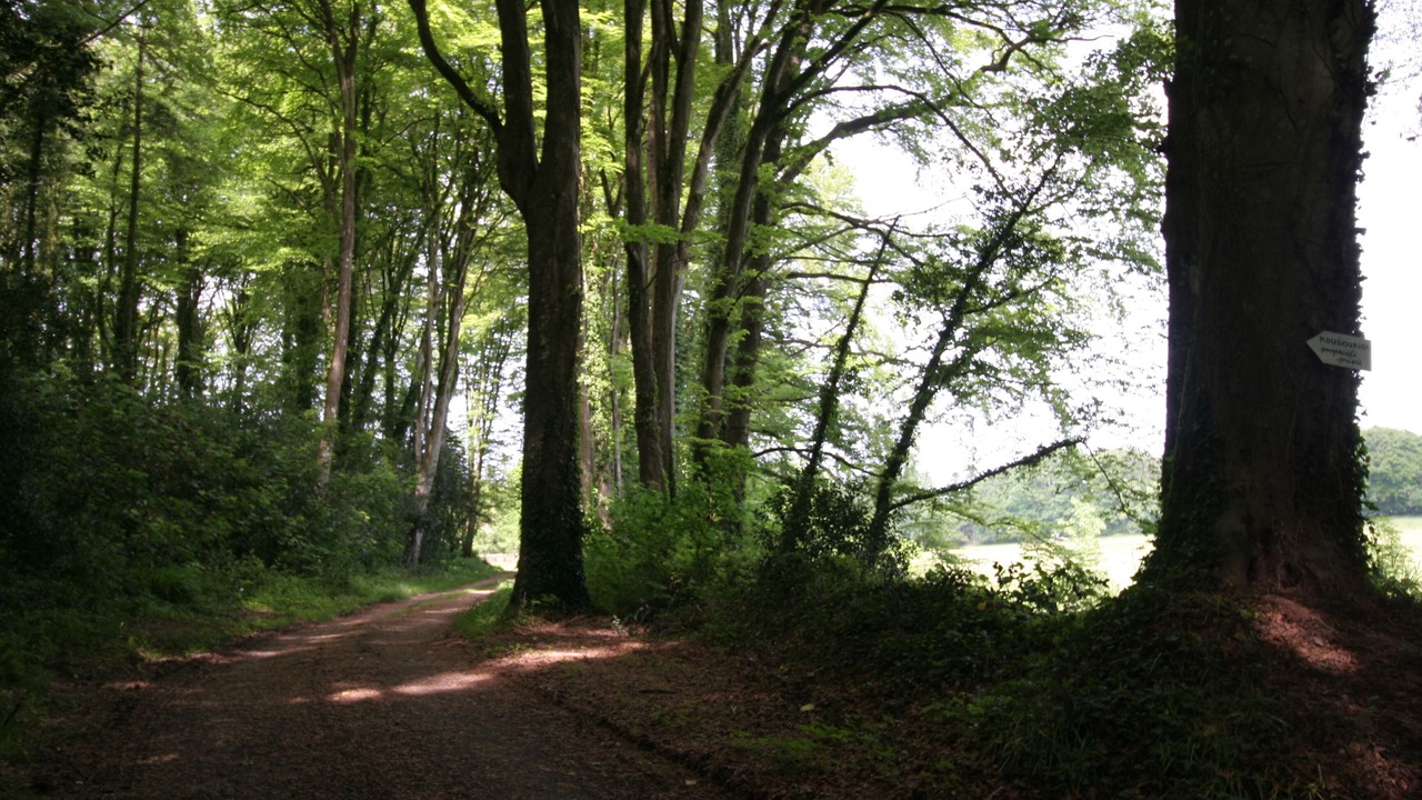 Photo of Outdoor in Pleumeur-Bodou