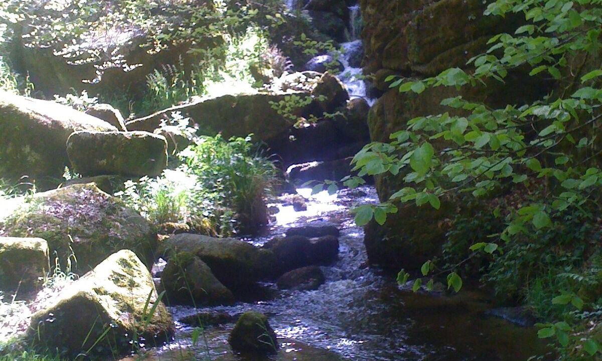 Photo of Outdoor in Plesidy