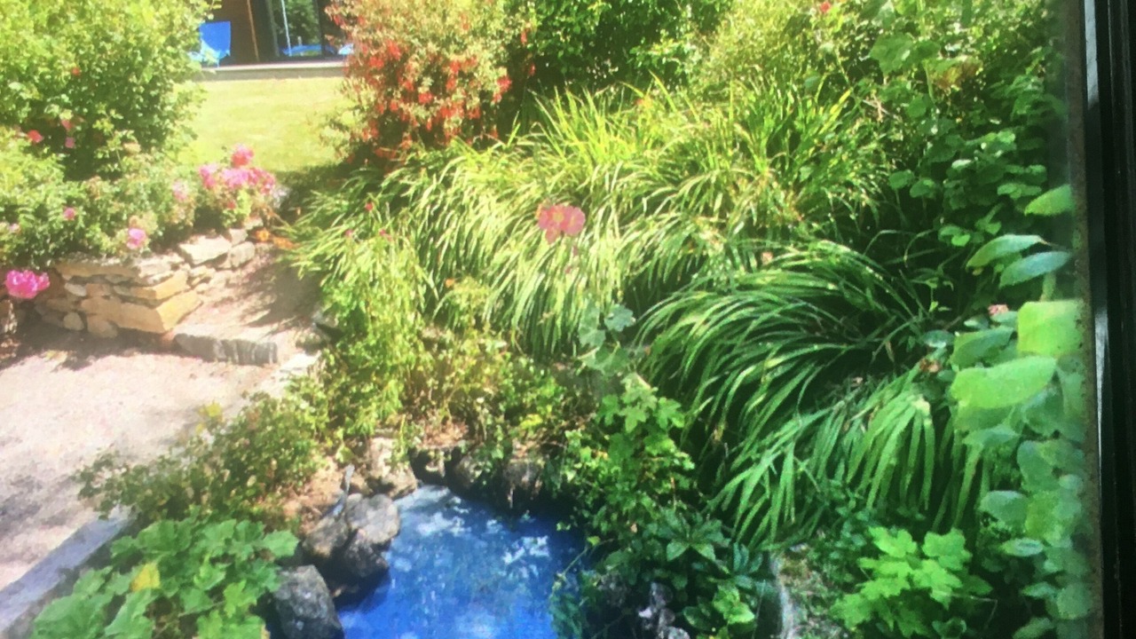 Photo of Outdoor in Plesidy