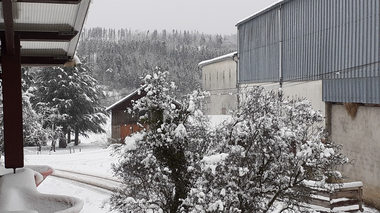 Photo of Outdoor in Ban-de-Laveline