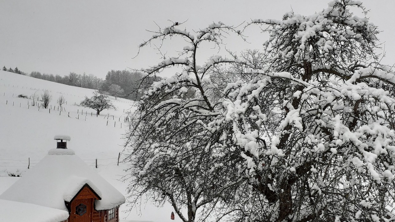 Photo of Outdoor in Ban-de-Laveline
