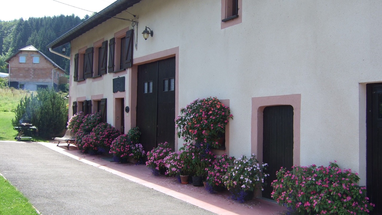 Photo of Outdoor in Ban-de-Laveline