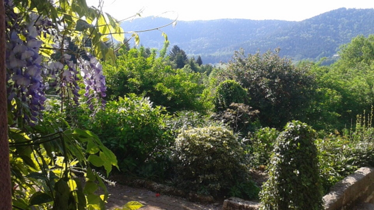 Photo of Outdoor in Senones