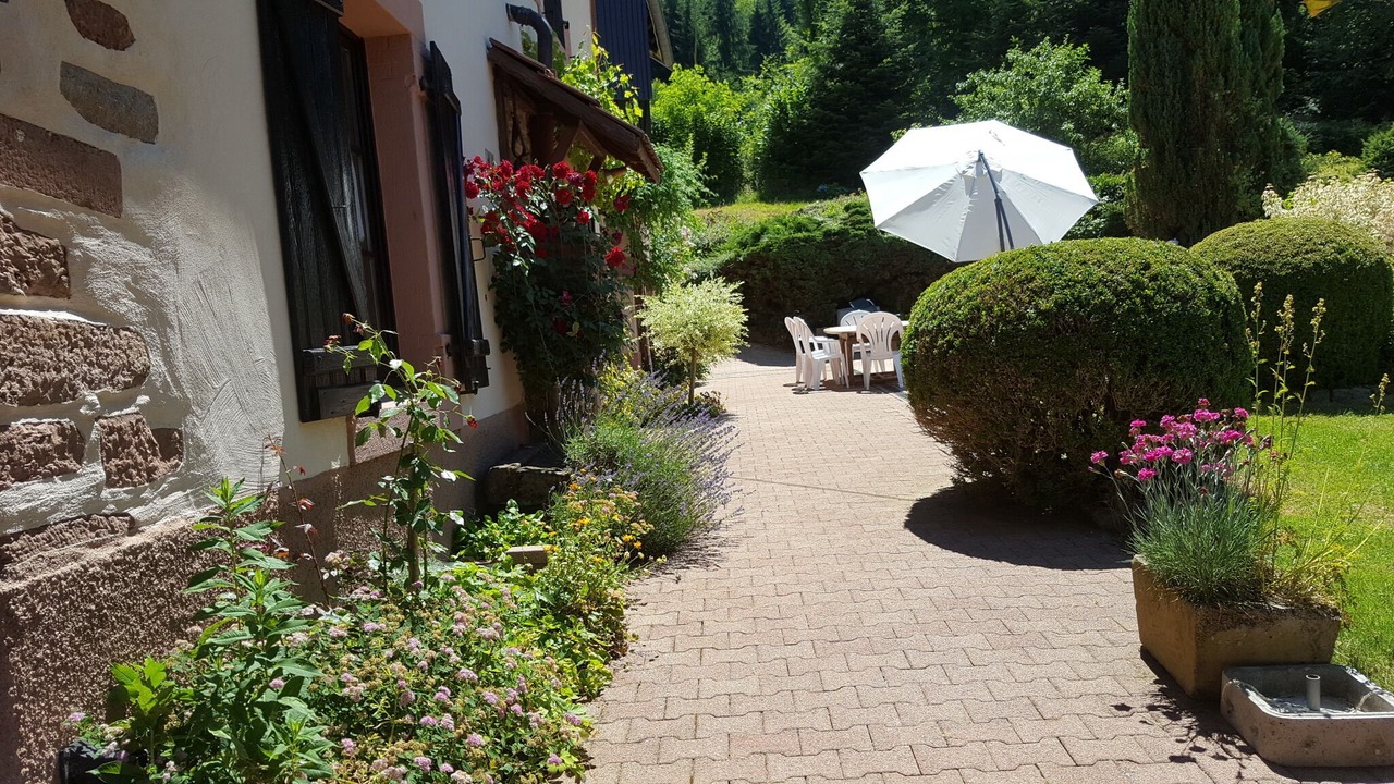 Photo of Outdoor in Senones
