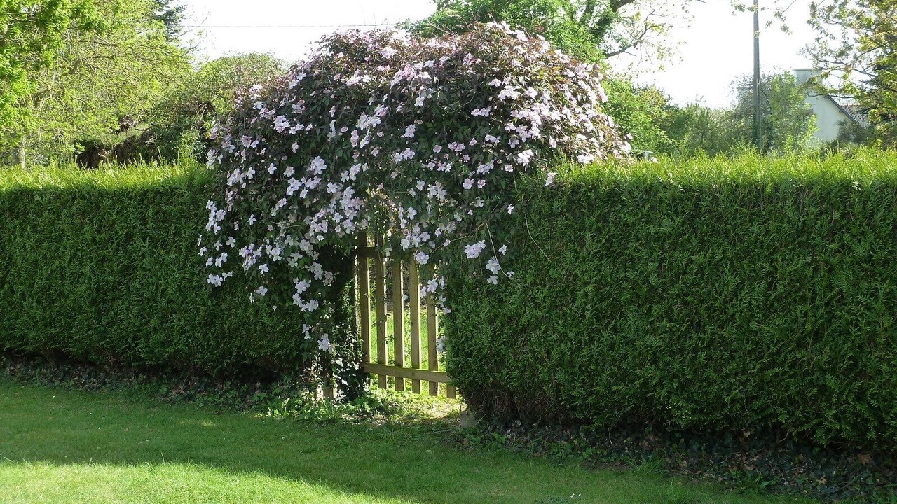 Photo of Outdoor in Pludual