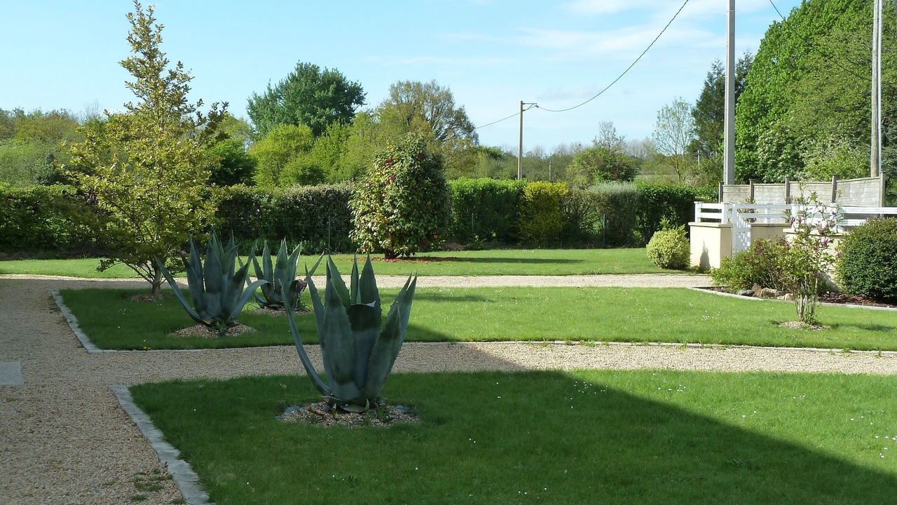 Photo of Outdoor in Pludual