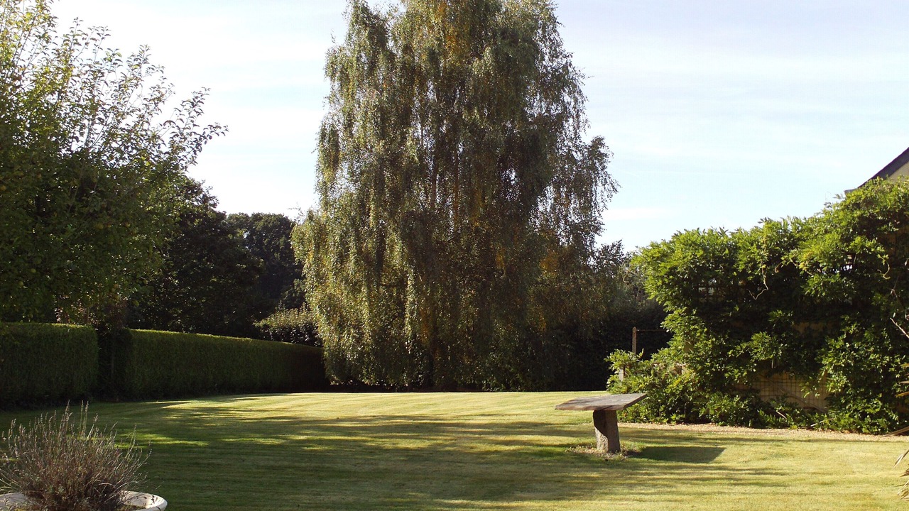 Photo of Outdoor in Pludual