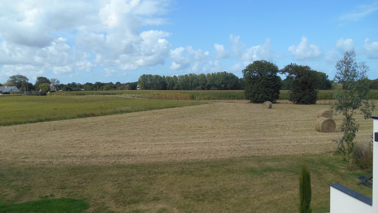 Photo of Others in Tregon