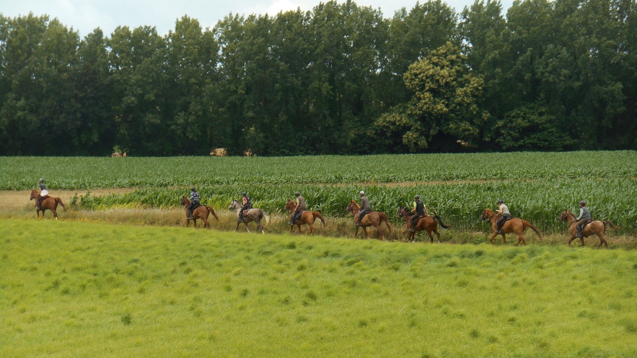 Photo of Others in Tregon