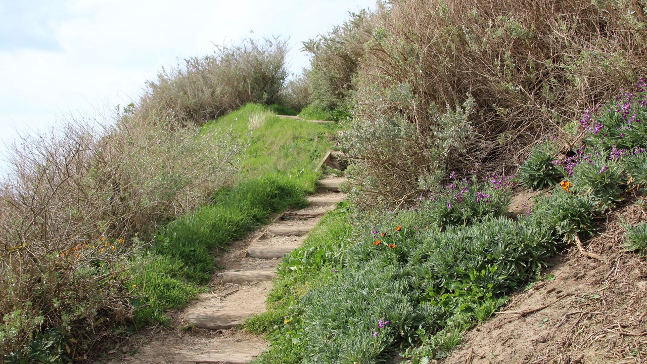 Photo of Outdoor in Planguenoual