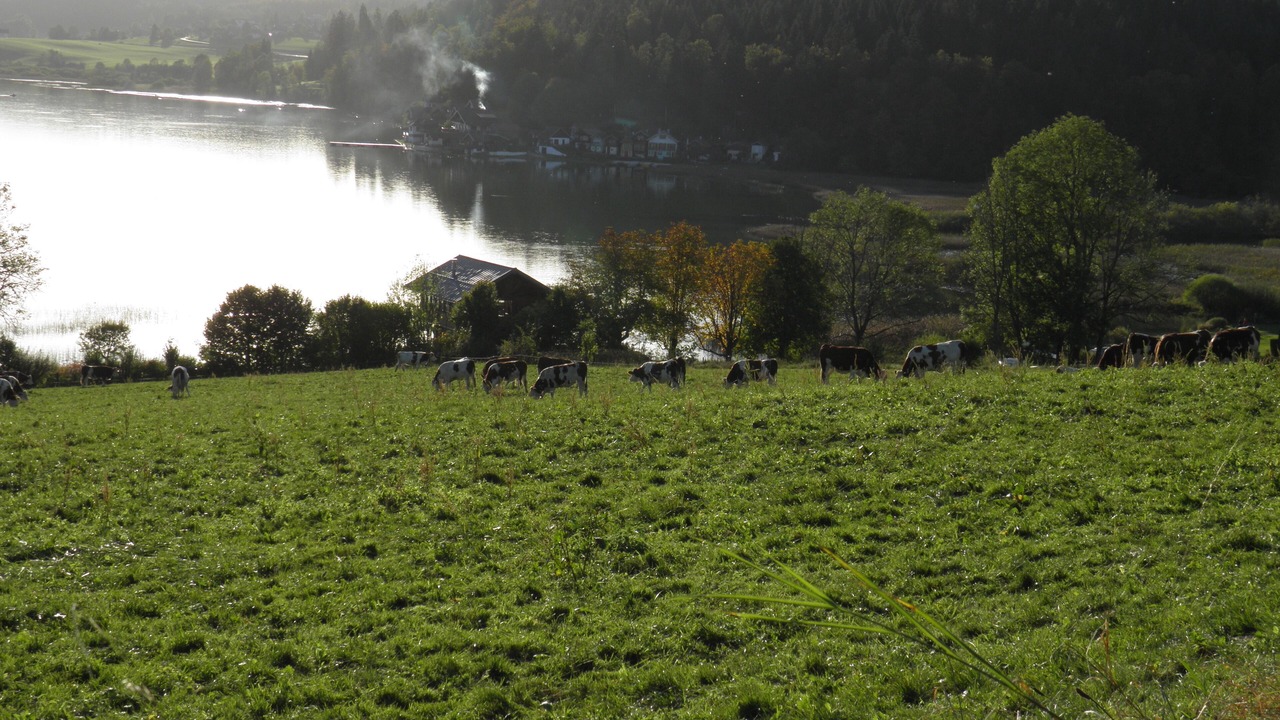 Photo of Outdoor in Rochejean