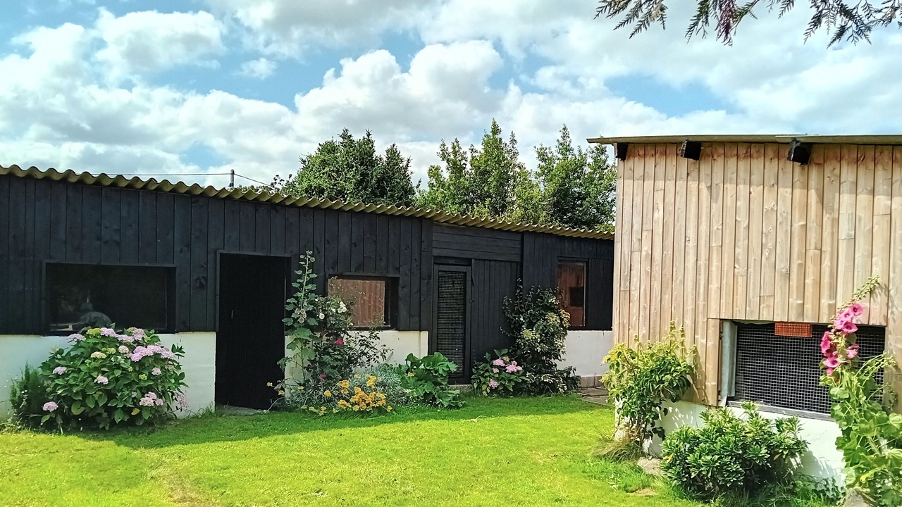 Photo of Outdoor in Treveneuc