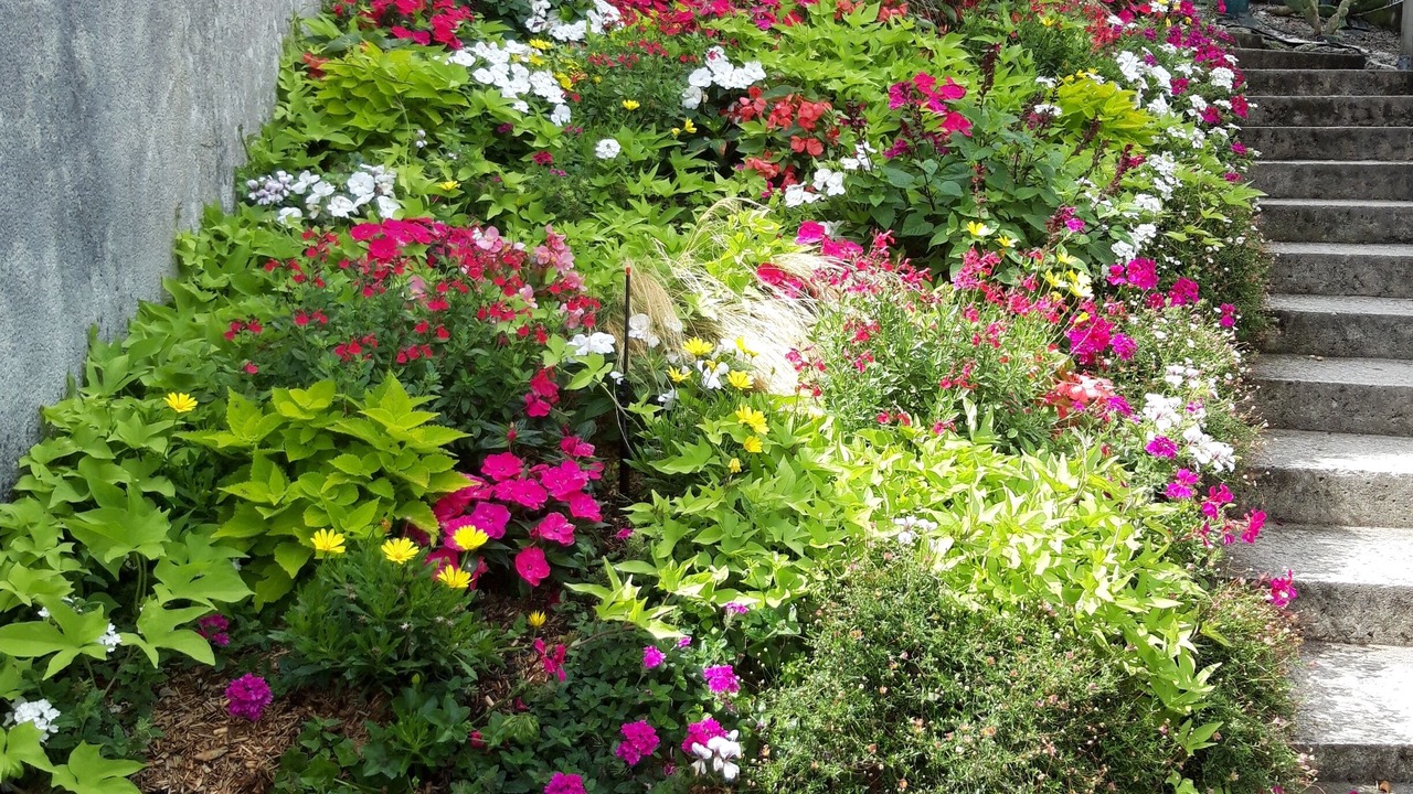 Photo of Outdoor in La Cotiniere