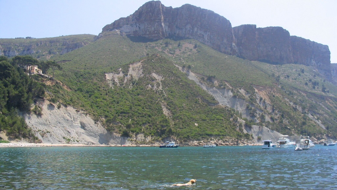 Photo of Others in Cassis
