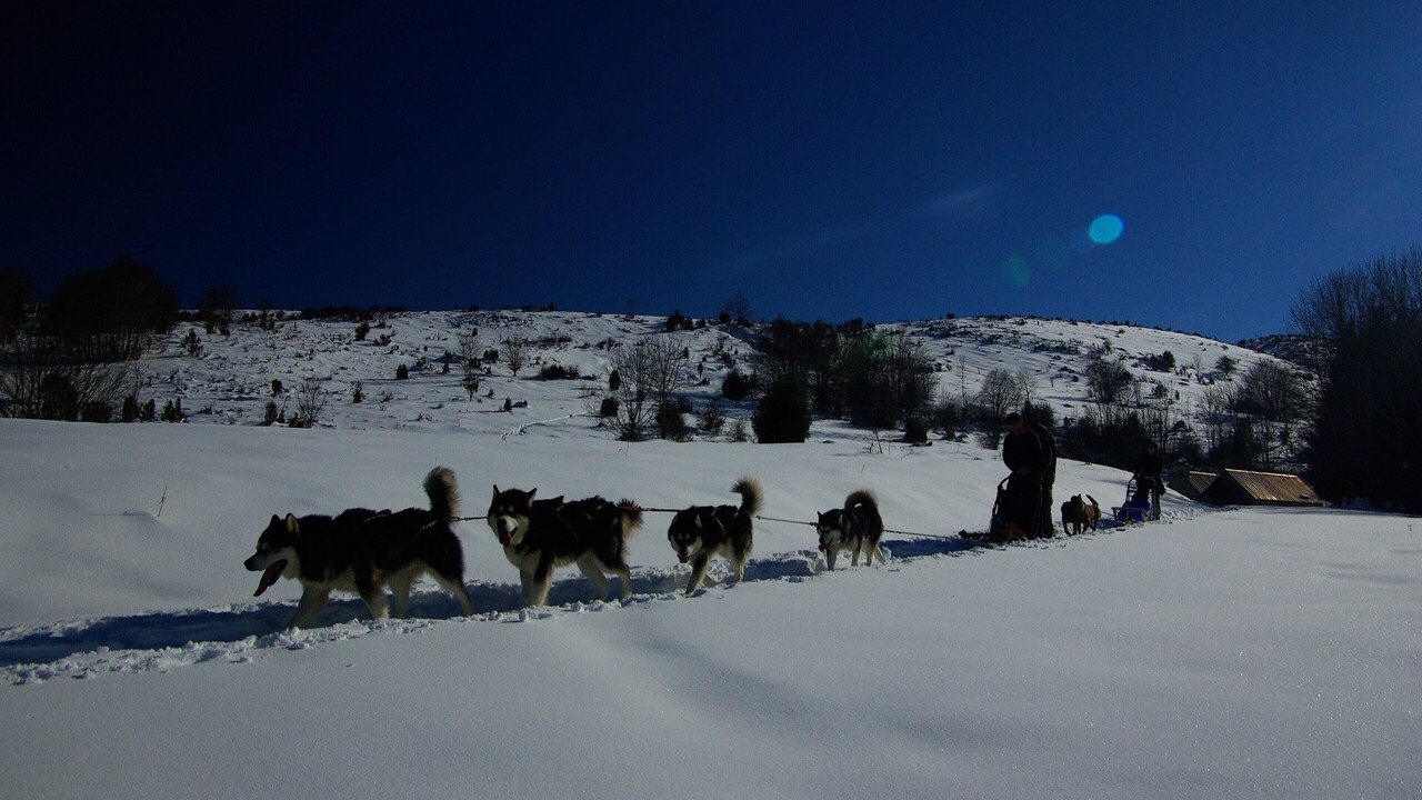Photo of Others in Campan