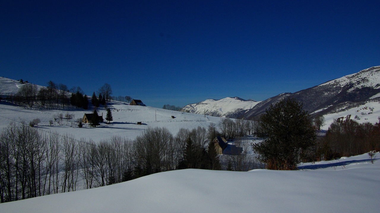 Photo of Others in Campan