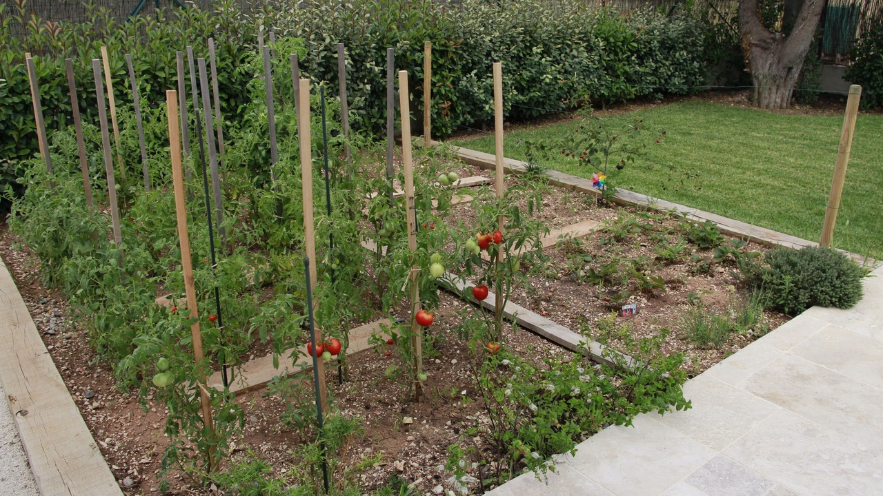 Photo of Outdoor in Sollies Pont