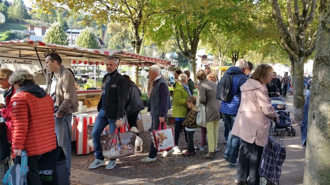 Photo of Others in Cordon
