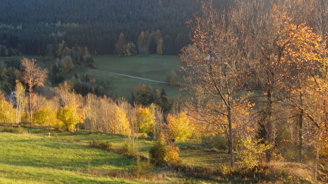 Photo of Outdoor in Fraize