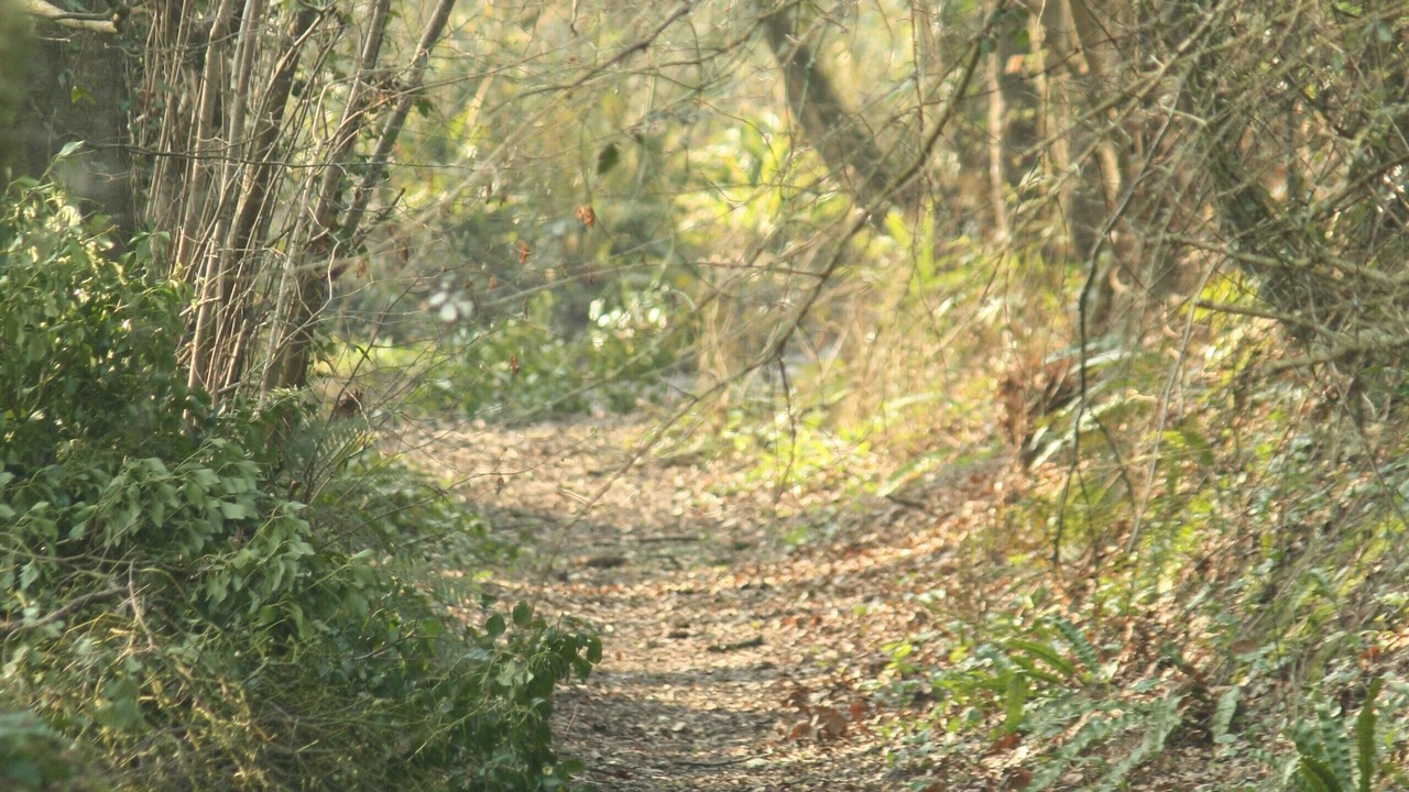 Photo of Outdoor in Plouer-sur-Rance