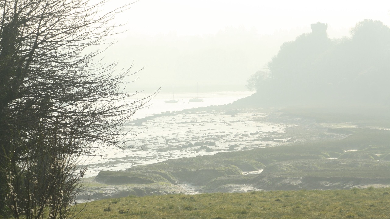 Photo of Others in Plouer-sur-Rance