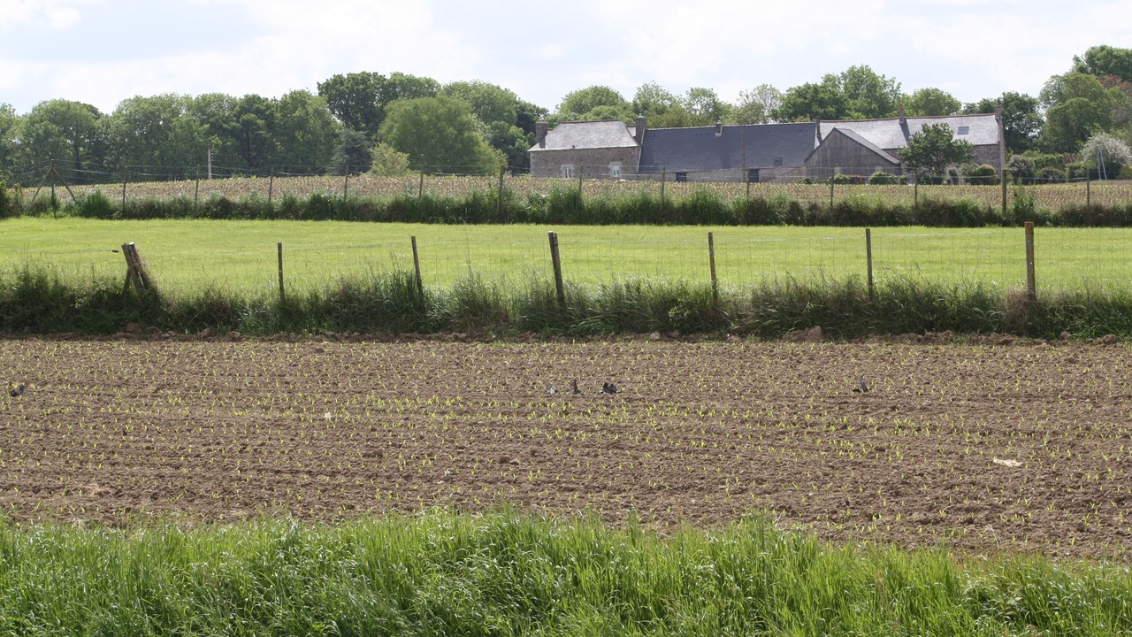 Photo of Outdoor in Plouer-sur-Rance