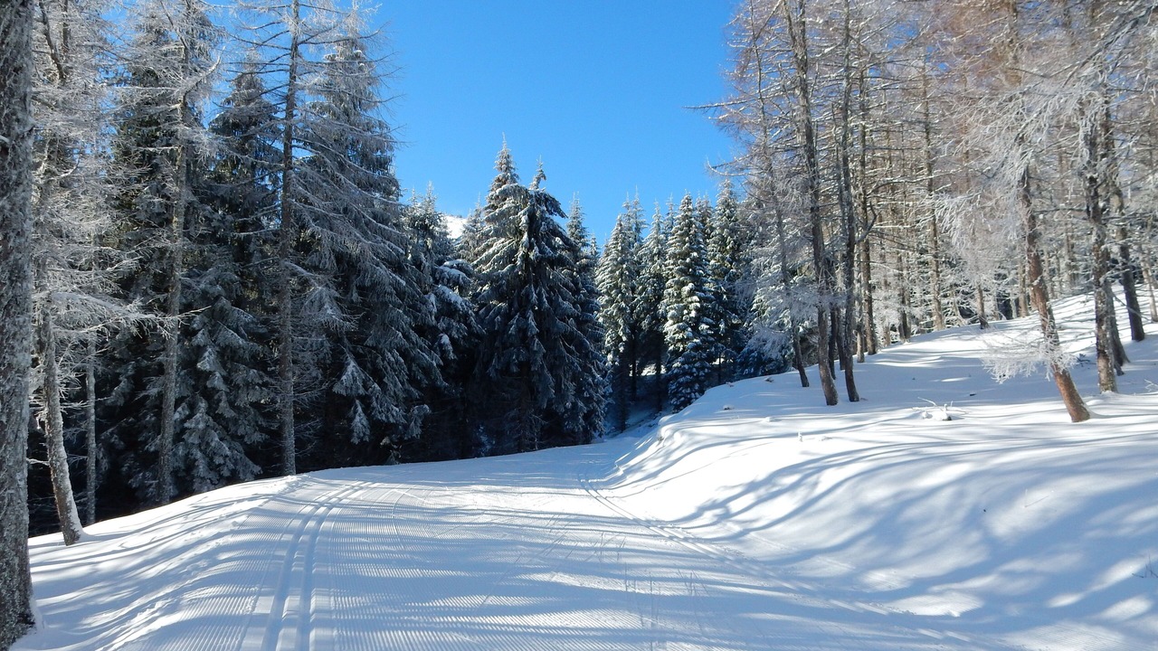Photo of Others in Sireix