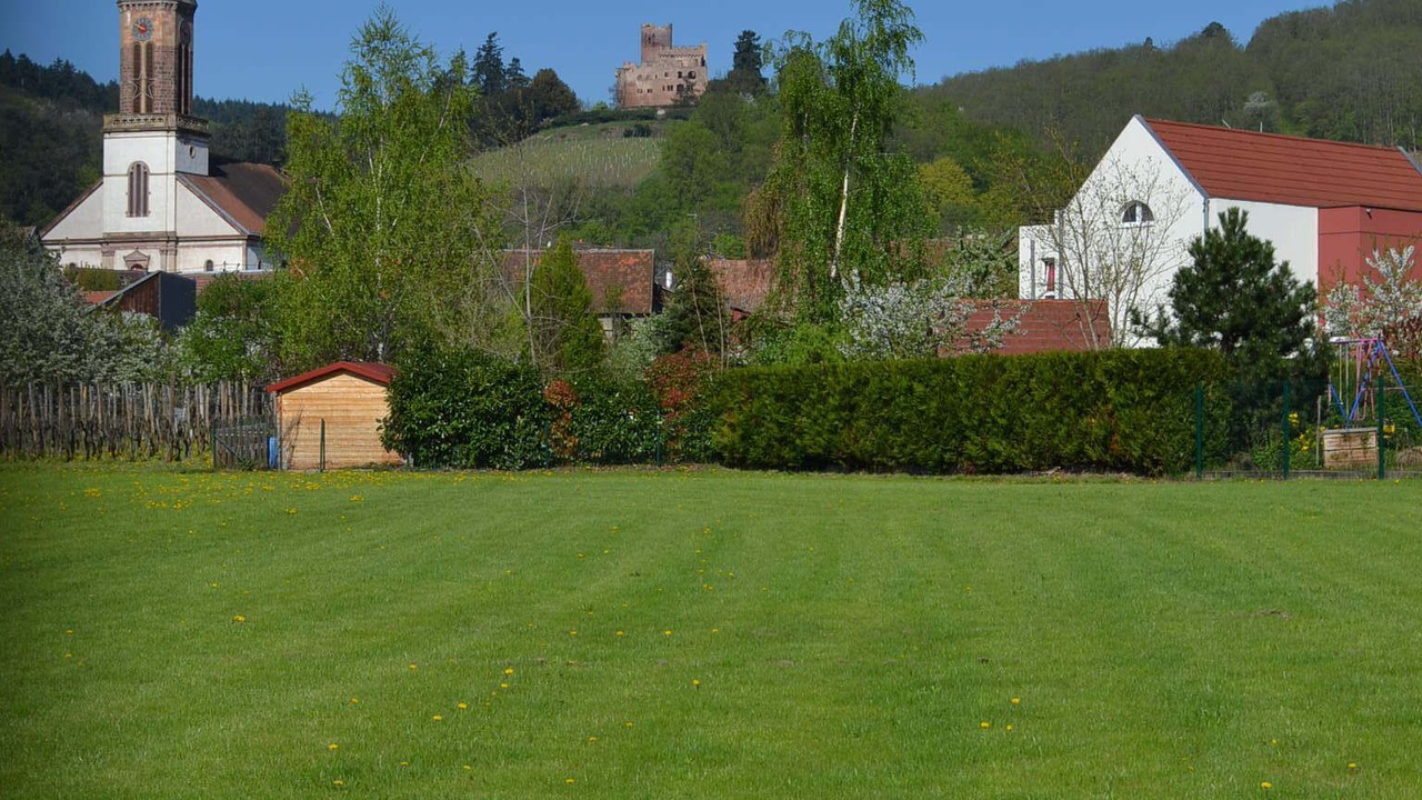 Photo of Outdoor in Kintzheim