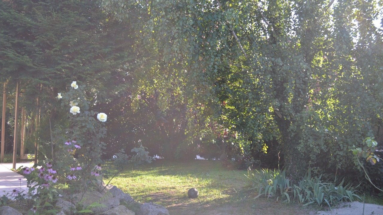 Photo of Outdoor in Kintzheim