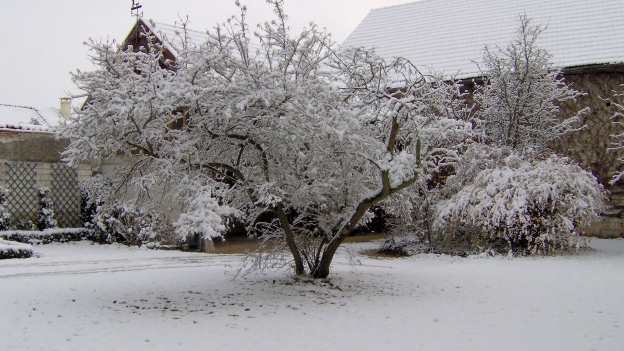 Photo of Outdoor in Athis