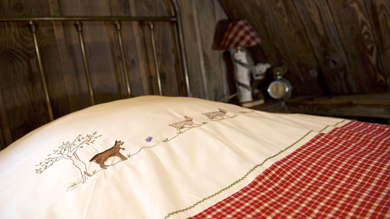 Photo of Bedroom in Salenthal