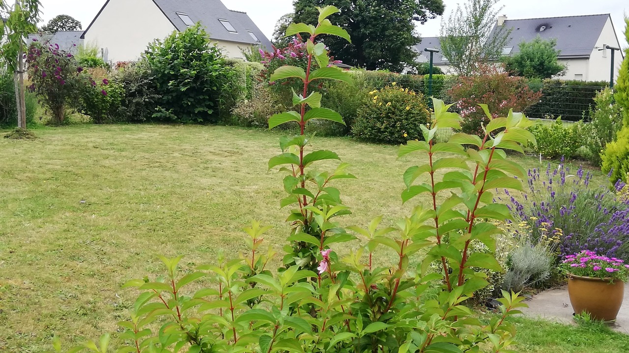 Photo of Outdoor in Ploubalay