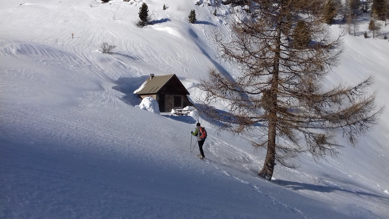 Photo of Others in Villars-Colmars