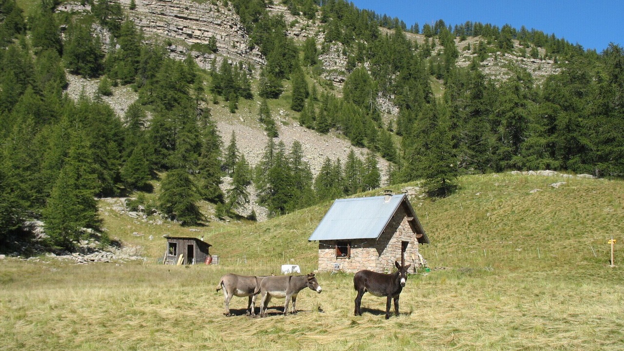 Photo of Outdoor in Villars-Colmars