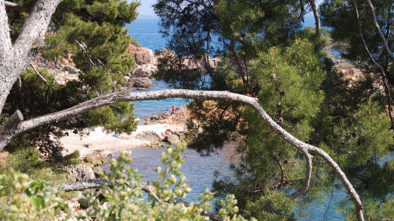 Photo of Outdoor in Bandol