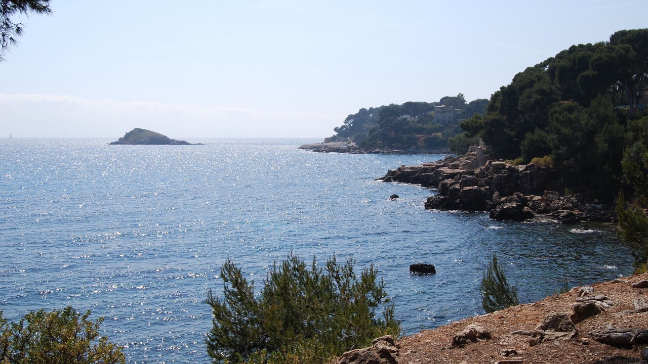 Photo of Others in Bandol