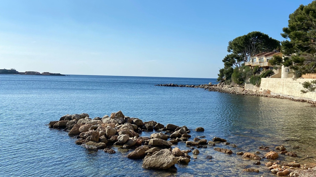 Photo of Others in Bandol