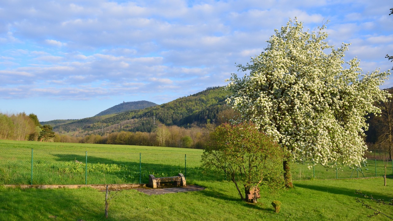 Photo of Outdoor in La Vancelle