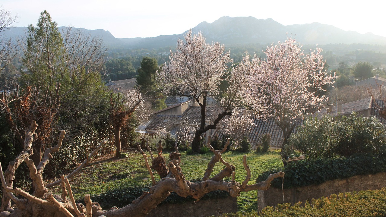 Photo of Outdoor in Cabannes
